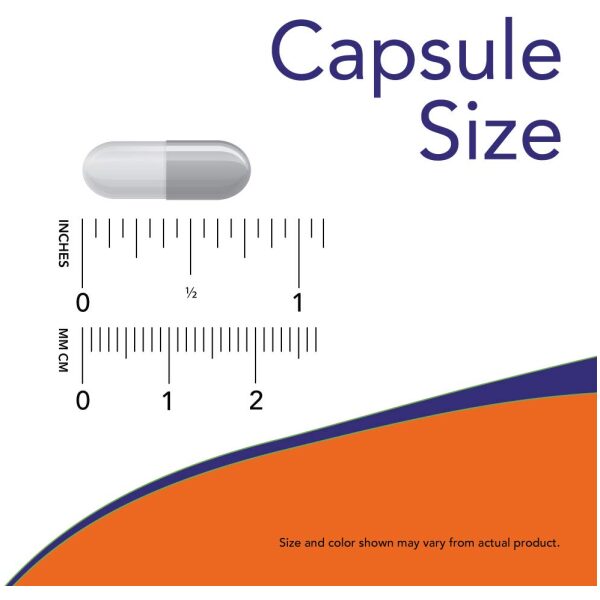 now Probiotic-10, 25 Billion, with 10 Probiotic Strains, Dairy, Soy and Gluten Free, Strain Verified, 100 Veg Capsules ناو ، بروبيوتيك _ 10 ، 25 مليار وحدة دولية ، 100 كبسولة نباتية - Image 10