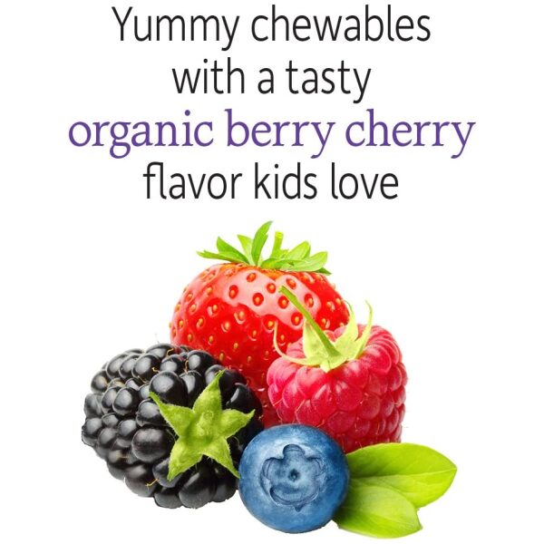 Garden of Life Dr. Formulated Probiotics Organic Kids+ plus Vitamin C, 30 Chewable<br/>بروبيوتيك عضوى للأطفال مع فيتامين ج وفيتامين د لصحة الجهاز الهضمى والجهاز المناعى ، 30 قطعة قابلة للمضغ - Image 6
