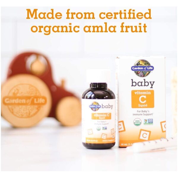 Garden of Life Baby Vitamin C Drops for Infants and Toddlers, Organic Liquid Vitamin C Immune Support <br/>قطرات فيتامين ج للأطفال من جاردن أوف لايف للرضع والأطفال الصغار، لدعم المناعة - Image 6