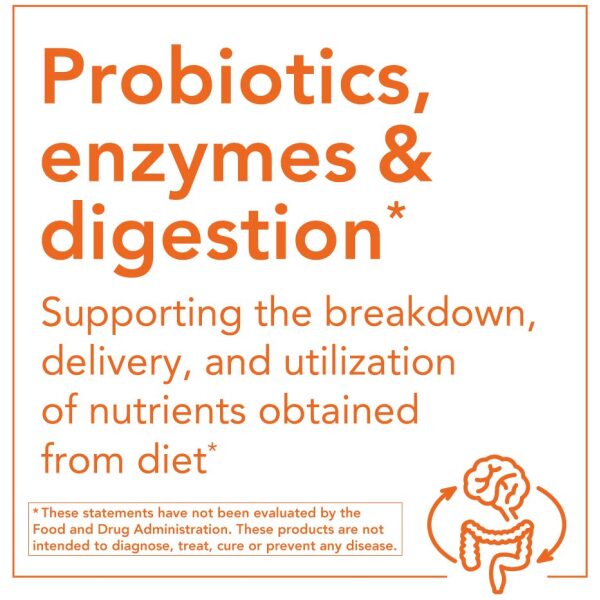 now Probiotic-10, 25 Billion, with 10 Probiotic Strains, Dairy, Soy and Gluten Free, Strain Verified, 100 Veg Capsules ناو ، بروبيوتيك _ 10 ، 25 مليار وحدة دولية ، 100 كبسولة نباتية - Image 9